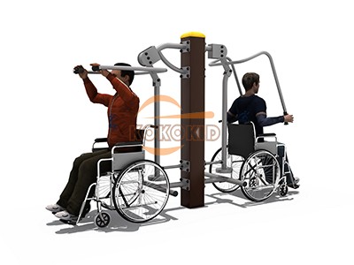 Handicap Fitness HFE-12